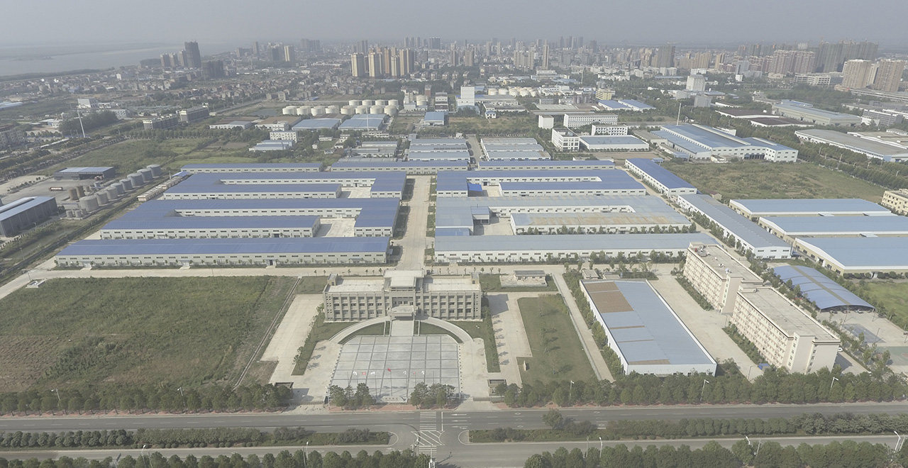 c币(中国区) - 官方网站