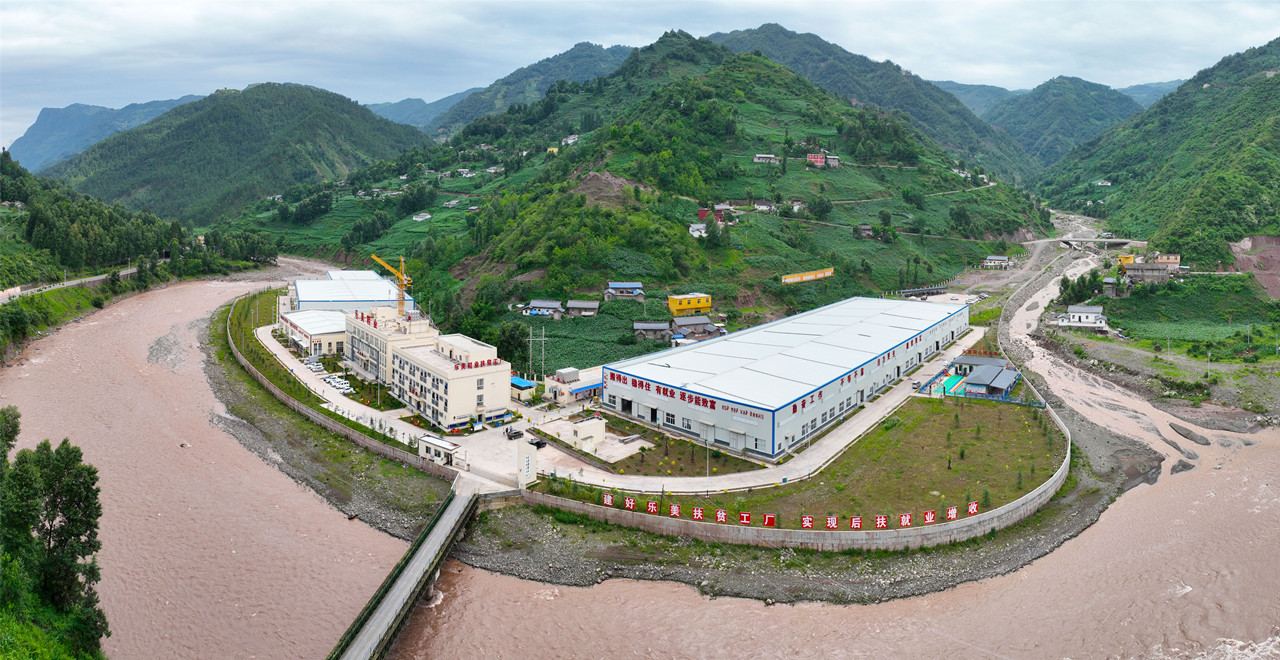 c币(中国区) - 官方网站