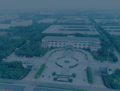 c币(中国区) - 官方网站